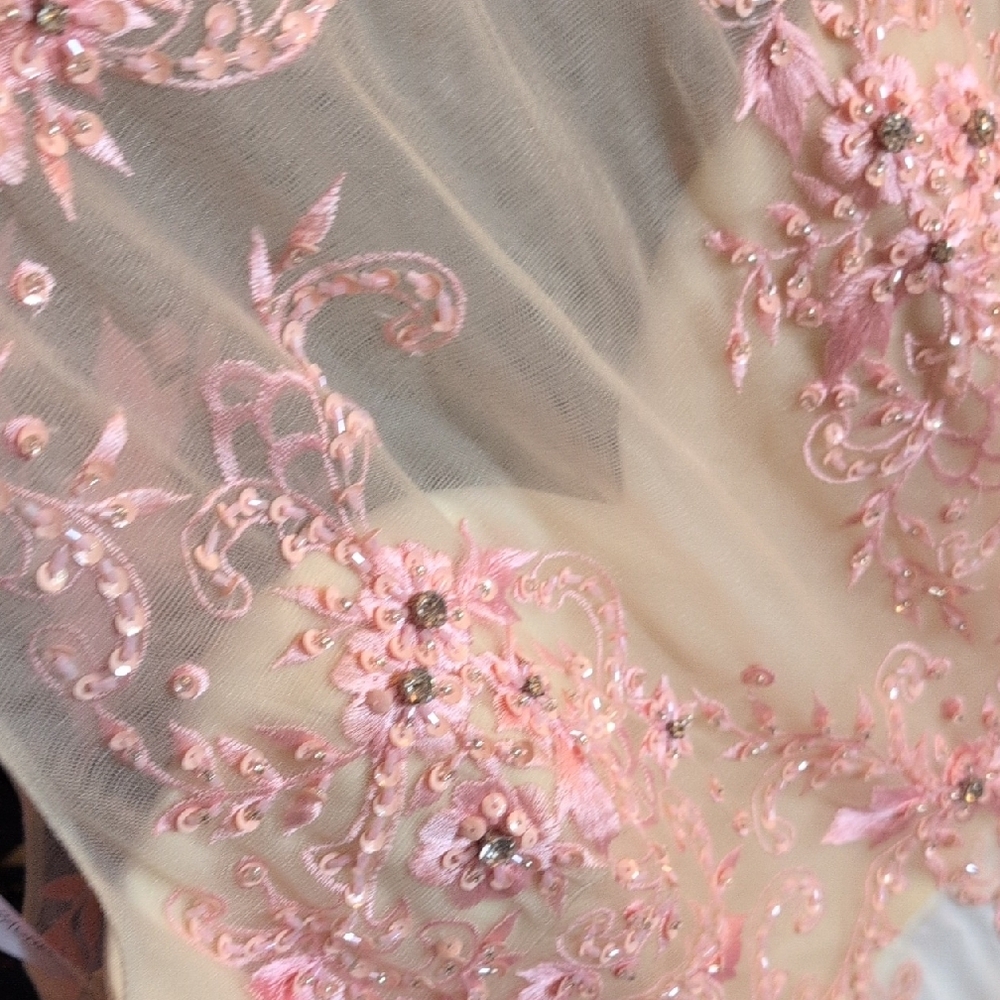 Rachel Allan Pink Appliqué Illusion Bodice Maxi Dress - Picture 11 of 11